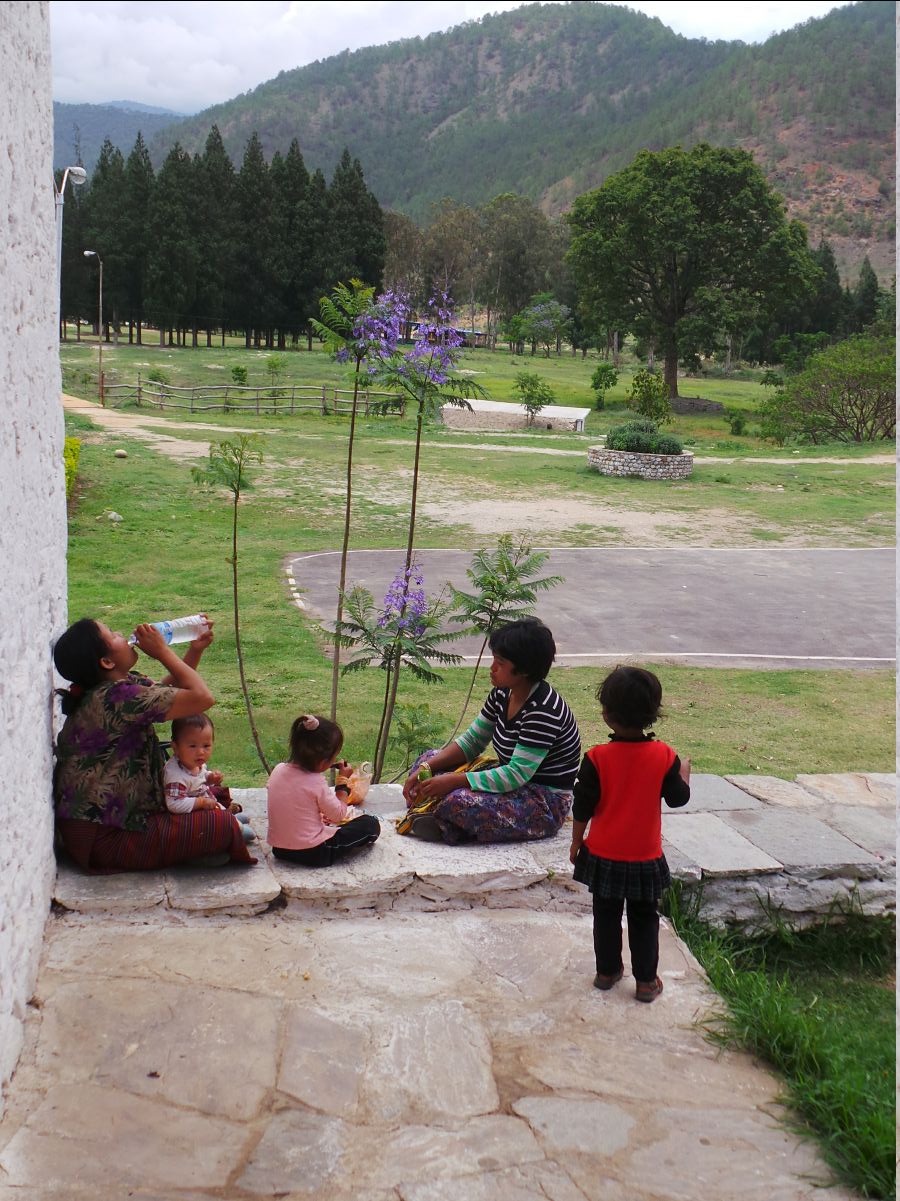 Punakha Dzong131